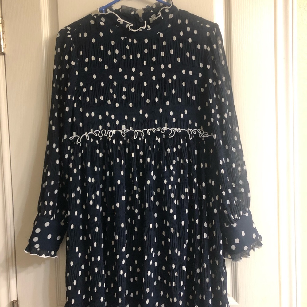 Daniel Rainne Anthropologie Blue Polka Dot Dress